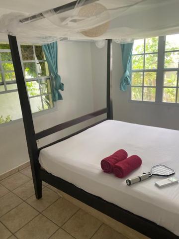 Akunamatata Guest House Grand Case Exterior foto